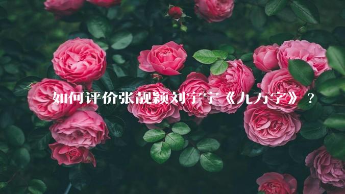 如何评价张靓颖刘宇宁《九万字》?
