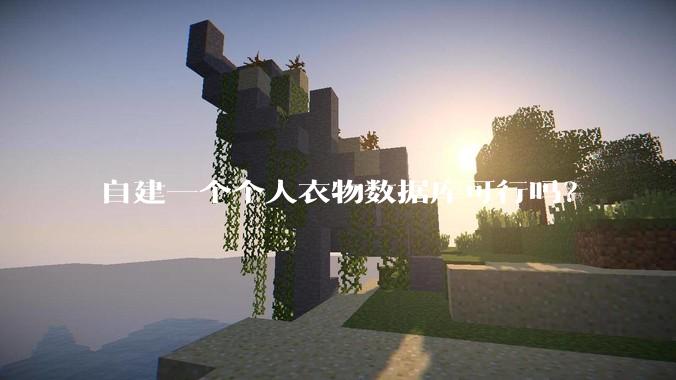自建一个个人衣物数据库可行吗？