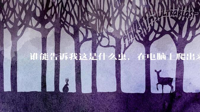 谁能告诉我这是什么虫，在电脑上爬出来吓死我了 ?